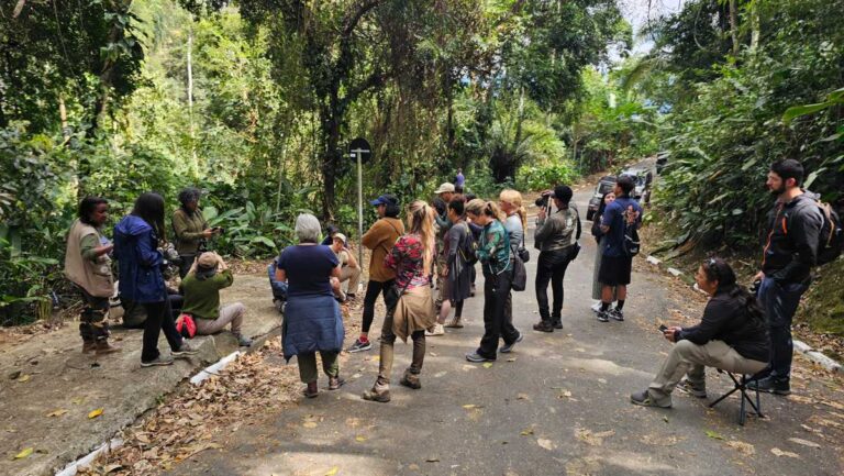 Prefeitura de Ilhabela promove programação especial durante todo o Mês da Mulher com ações de saúde, cultura, esporte e bem-estar