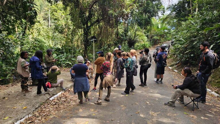 Programação especial marca o Dia da Mulher com foco em bem-estar e educação ambiental em Ilhabela copiar